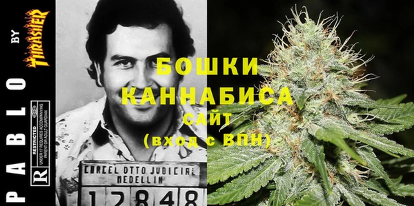 тгк Кулебаки