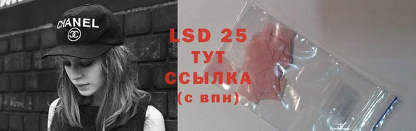 прущие крисы Лабытнанги