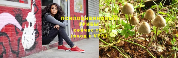 бошки Ладушкин