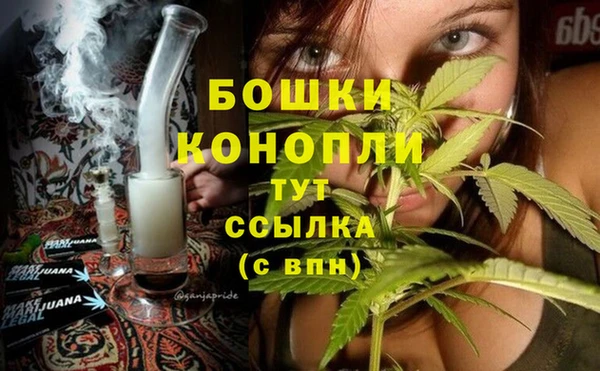 бошки Ладушкин