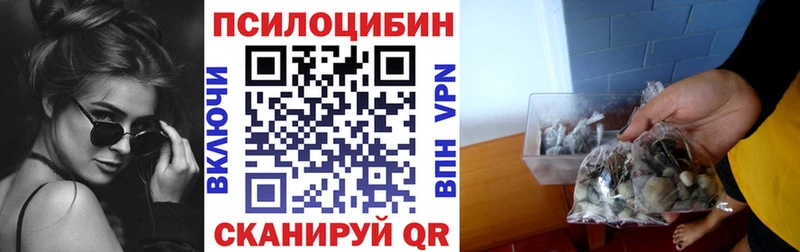 Купить закладки  Нариманов  Псилоцибиновые грибы мицелий 